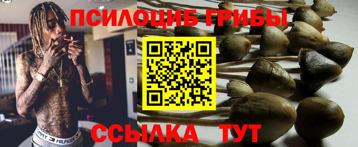 Псилоцибиновые грибы мухоморы  Вход с VPN  хочу наркоту  Белебей 